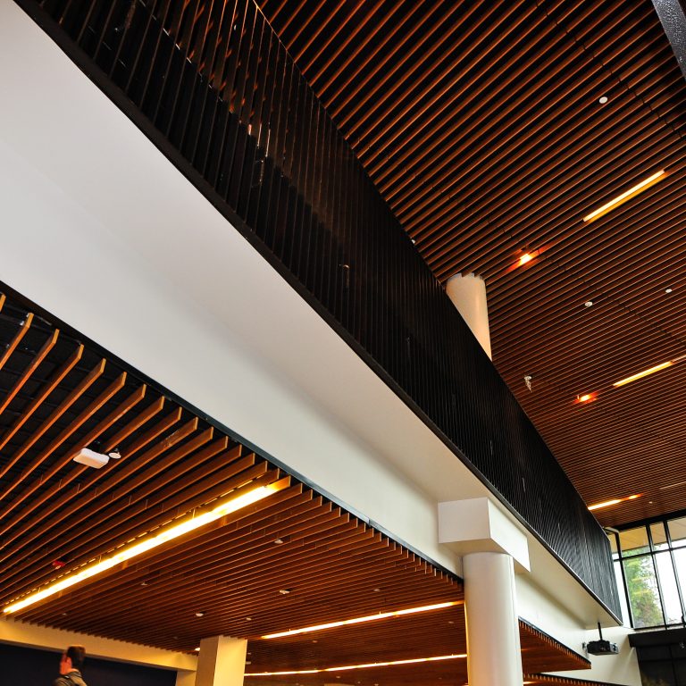 DSC 4289 DW Accoustics